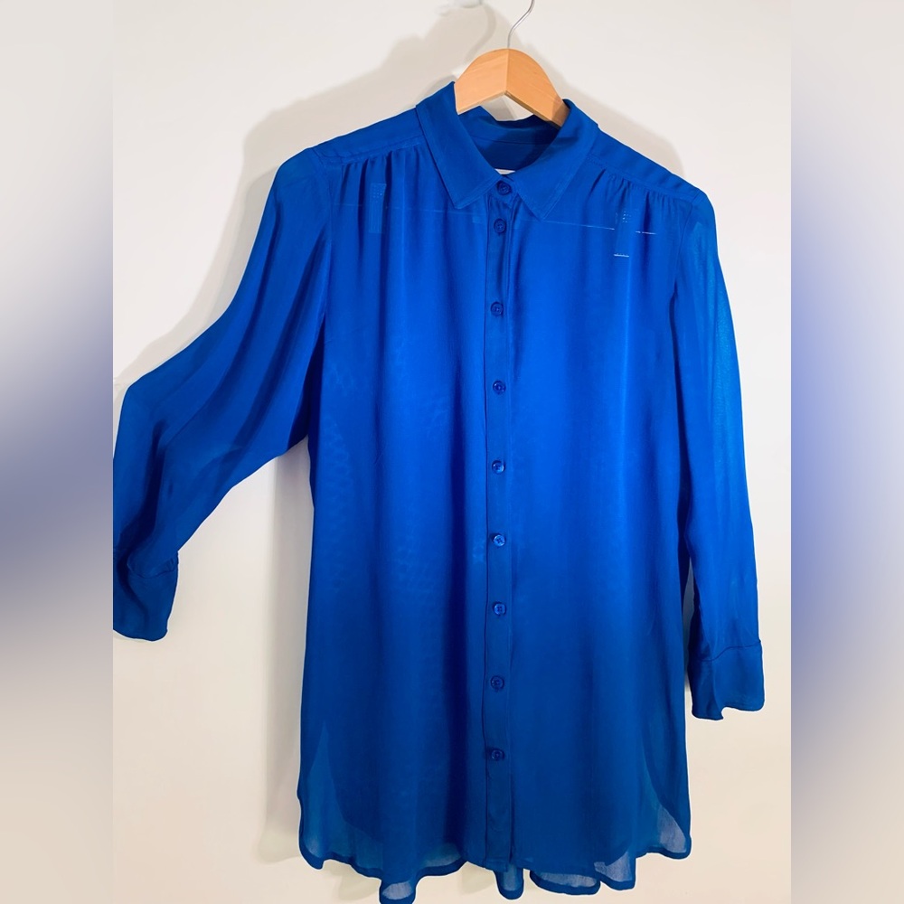 Blue Sheer Women's Blouse